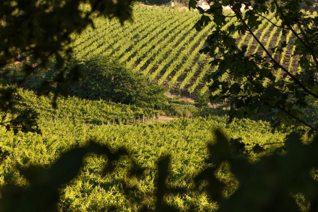 Tenuta La Meirana Gavi Eksteriør bilde